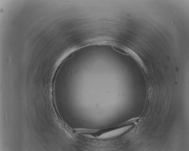 X0000066511051200603311725