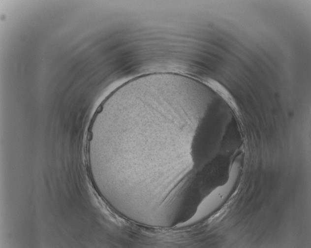 X0000066511052200603311725