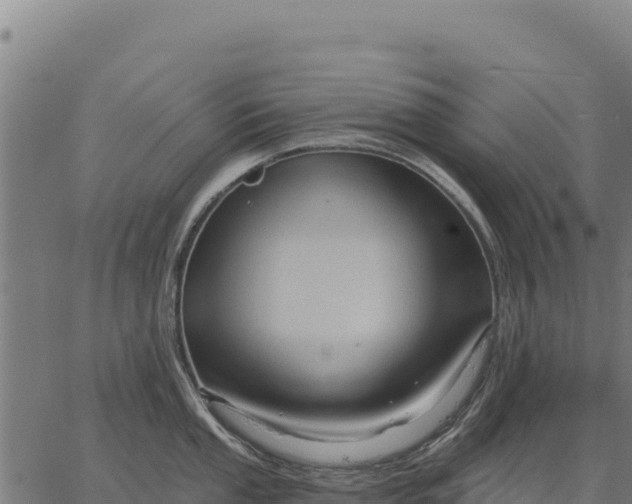 X0000066511053200603311725