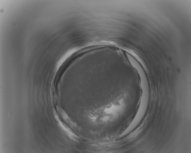 X0000066511054200603311725