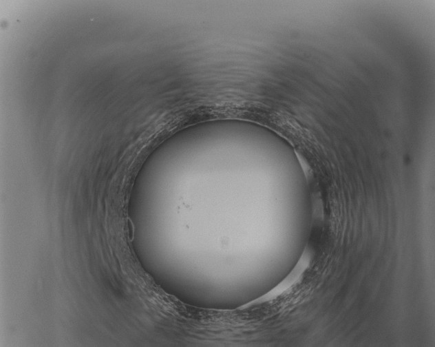 X0000066511057200603311724