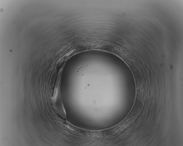 X0000066511058200603311724