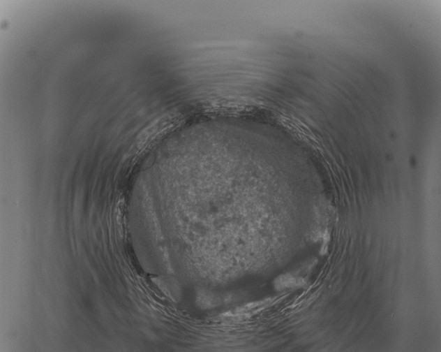 X0000066511059200603311724