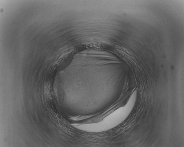 X0000066511060200603311724