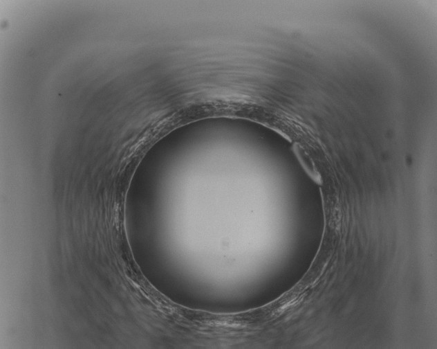 X0000066511061200603311724