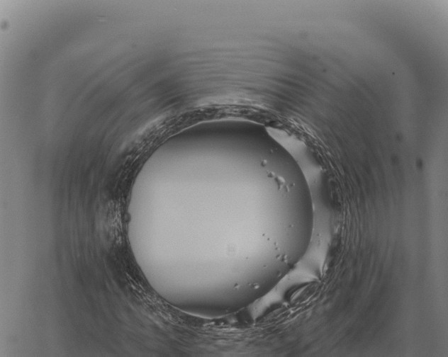 X0000066511062200603311724