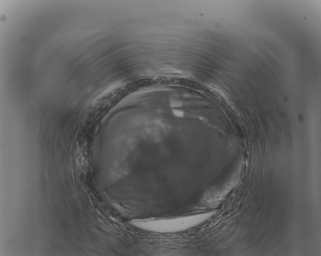 X0000066511063200603311724