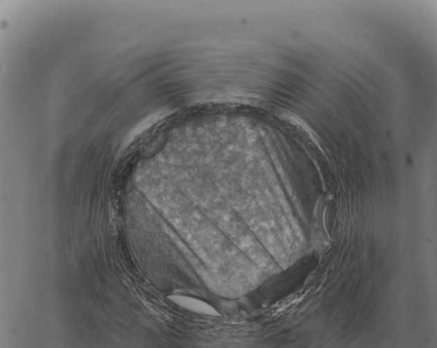 X0000066511064200603311724