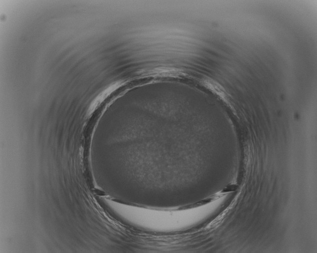 X0000066511066200603311724