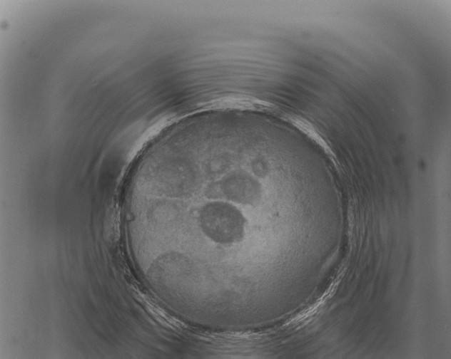 X0000066511067200603311724