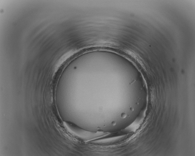 X0000066511069200603311724