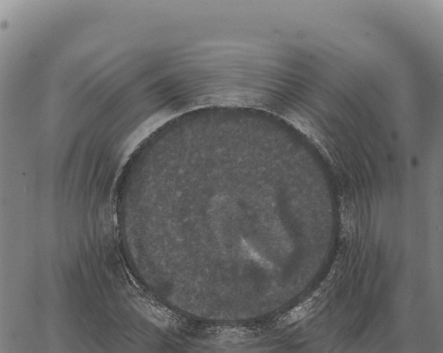 X0000066511070200603311724