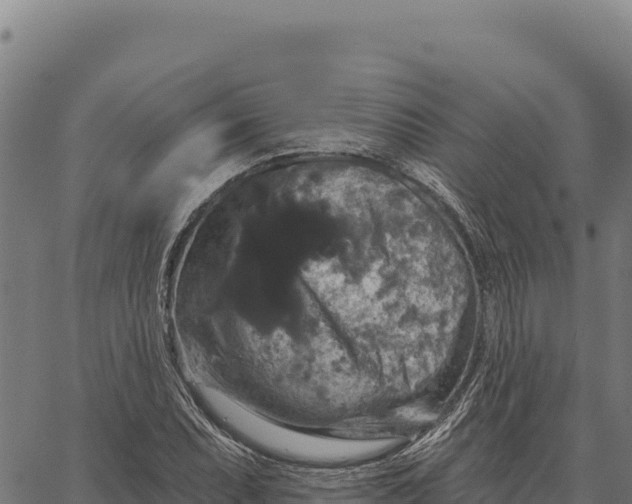 X0000066511071200603311724