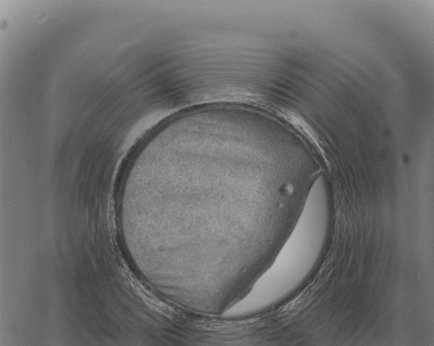 X0000066511072200603311724