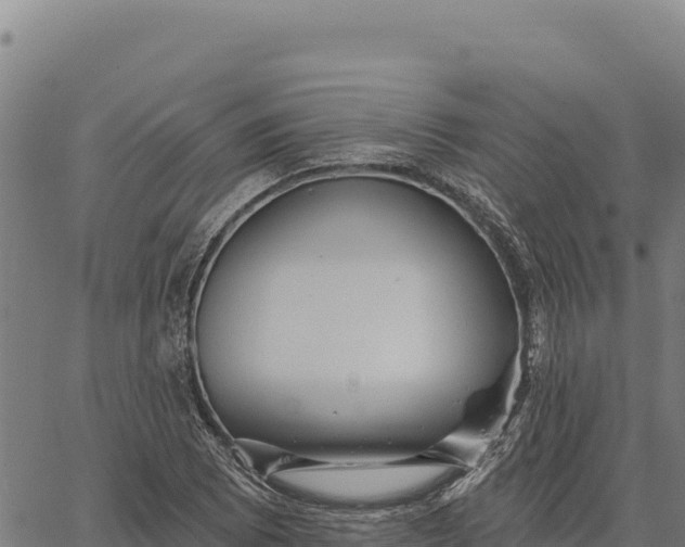 X0000066511073200603311724