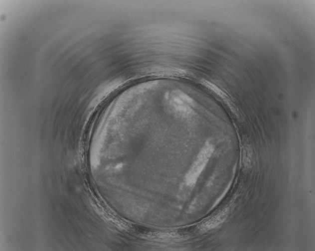 X0000066511074200603311724