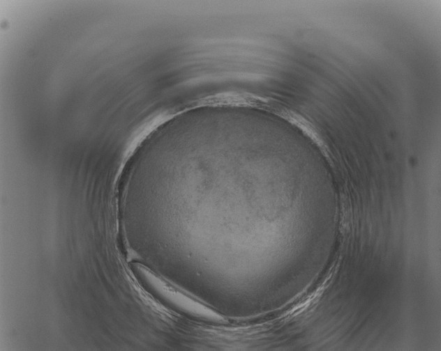 X0000066511075200603311724