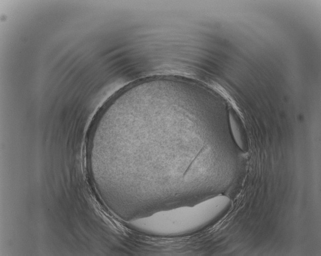 X0000066511076200603311724