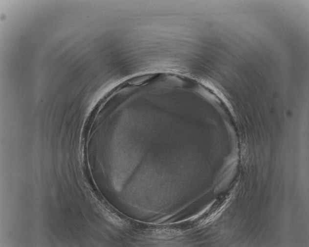 X0000066511077200603311723