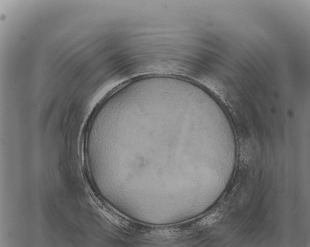 X0000066511078200603311723