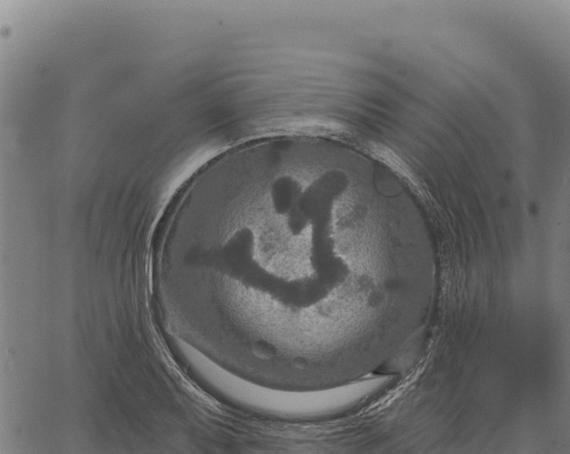 X0000066511079200603311723