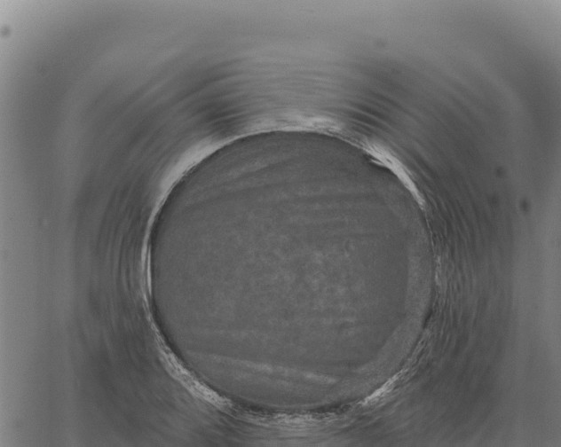 X0000066511080200603311723