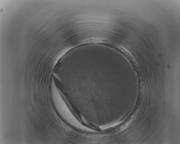 X0000066511081200603311723