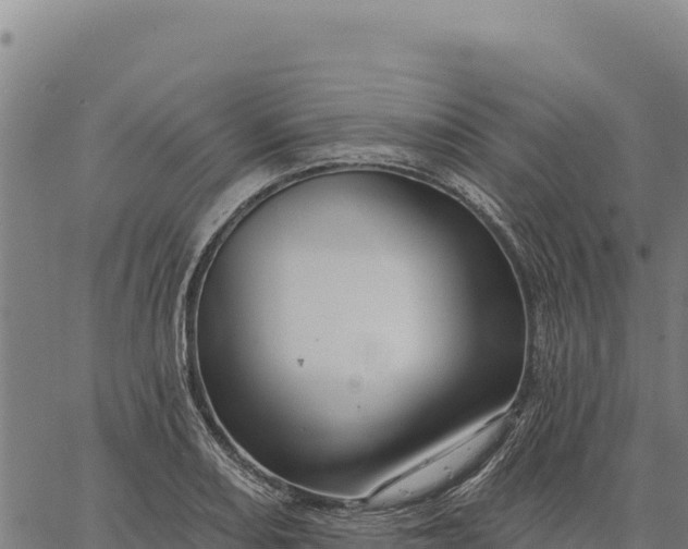 X0000066511082200603311723