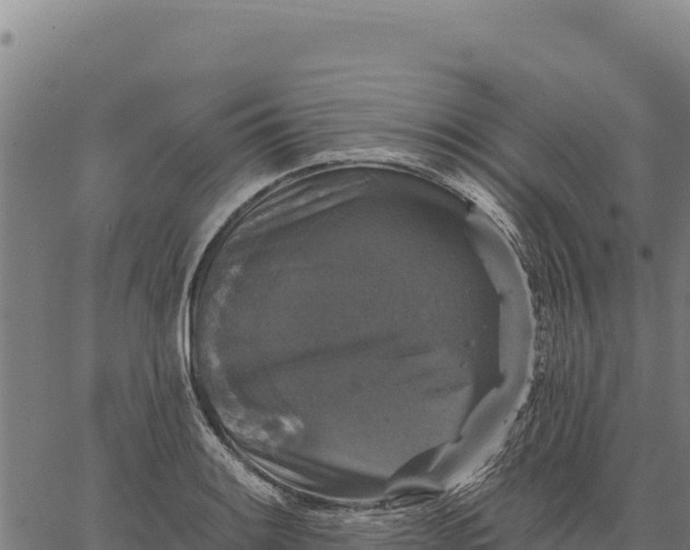 X0000066511084200603311723