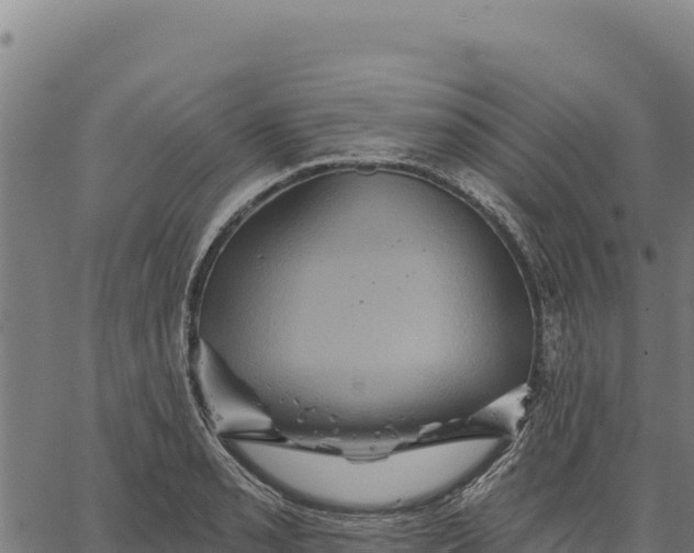 X0000066511085200603311723