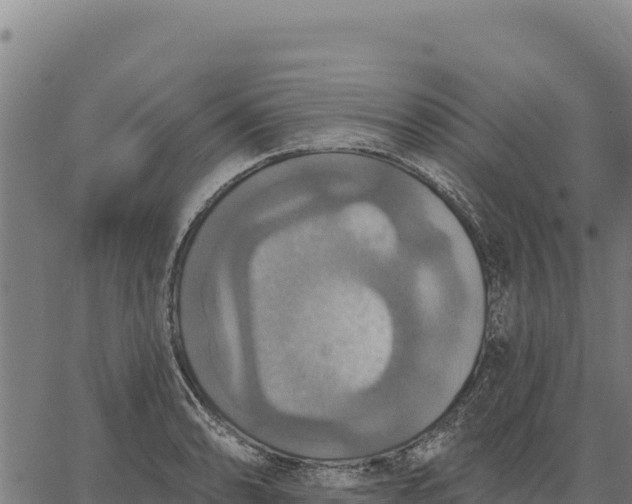 X0000066511086200603311723