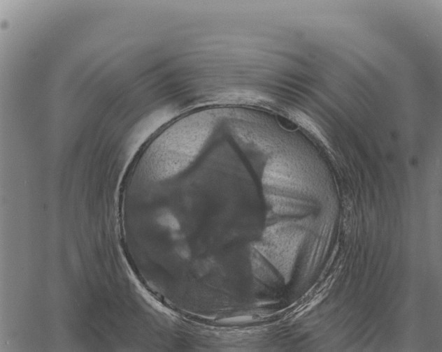 X0000066511087200603311723