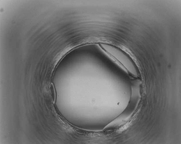 X0000066511089200603311723