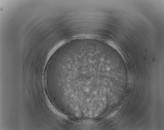 X0000066511090200603311723