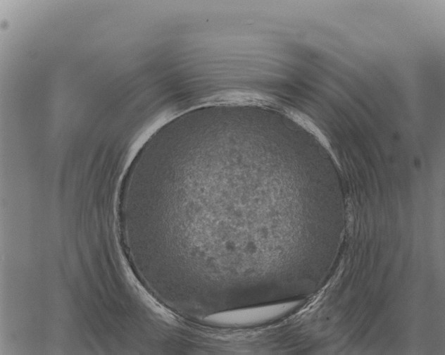 X0000066511091200603311723