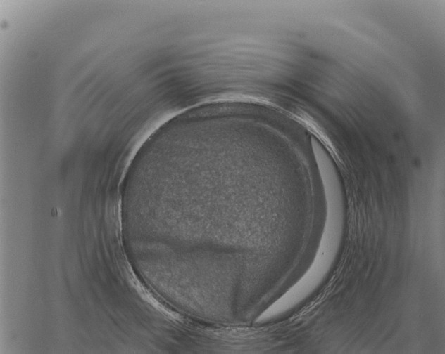 X0000066511092200603311723