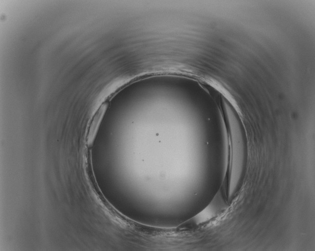 X0000066511093200603311723