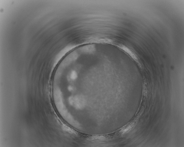 X0000066511094200603311723