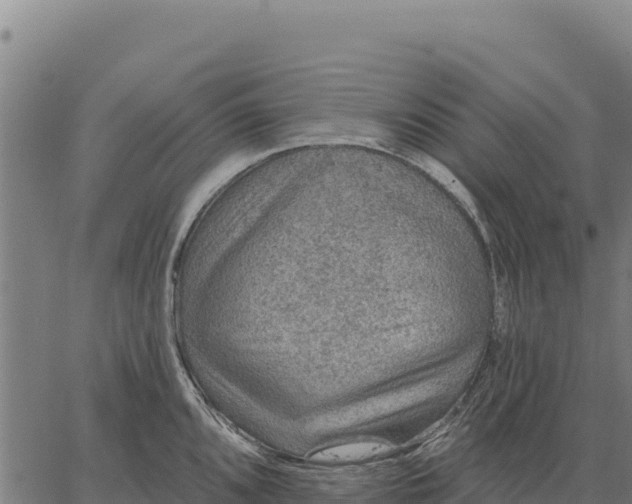 X0000066511096200603311723