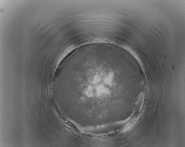 X0000066511097200603311723