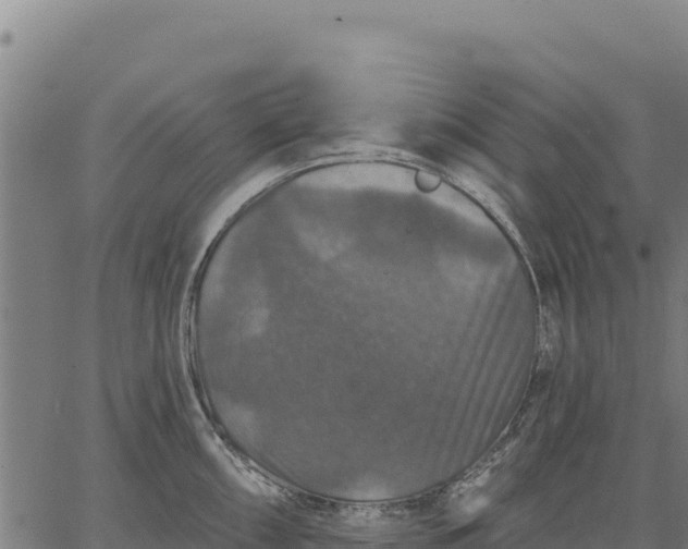 X0000066511098200603311723