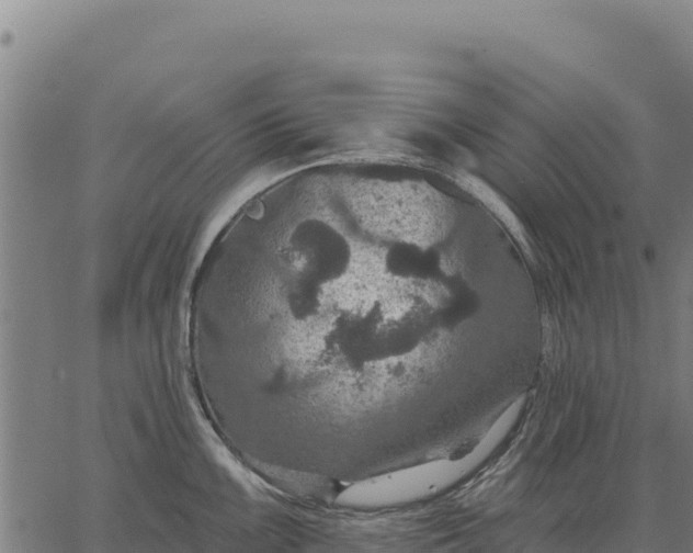 X0000066511099200603311723