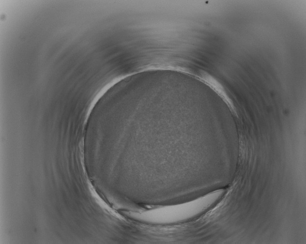 X0000066511100200603311723