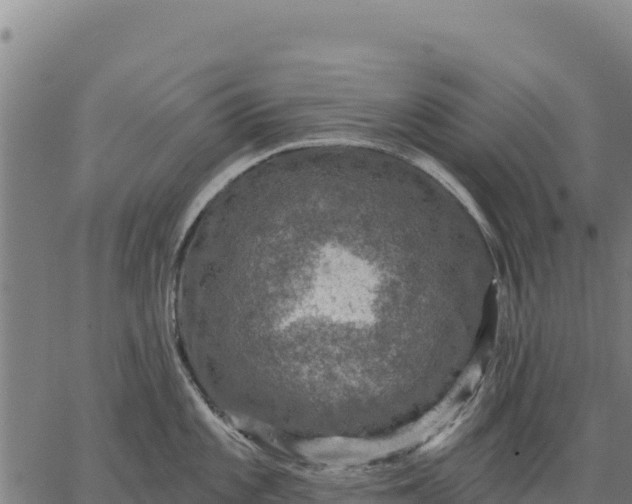 X0000066511101200603311723