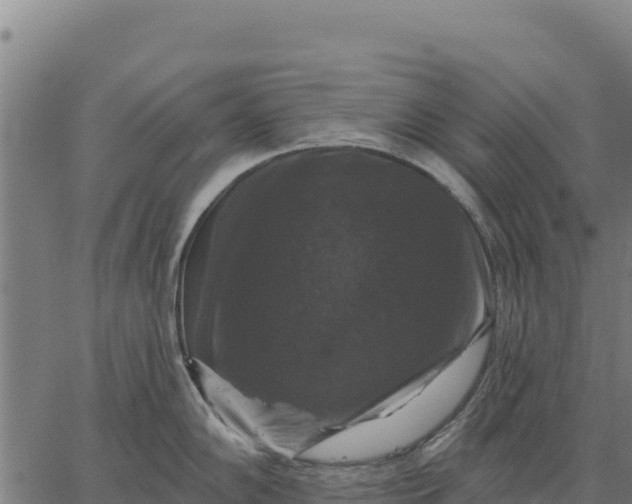 X0000066511102200603311723