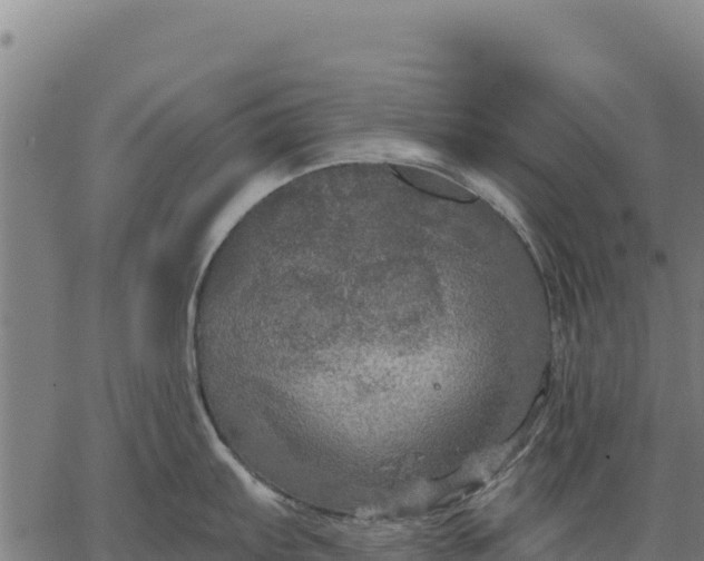 X0000066511103200603311723