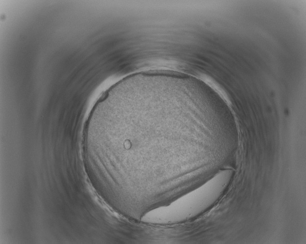 X0000066511104200603311723