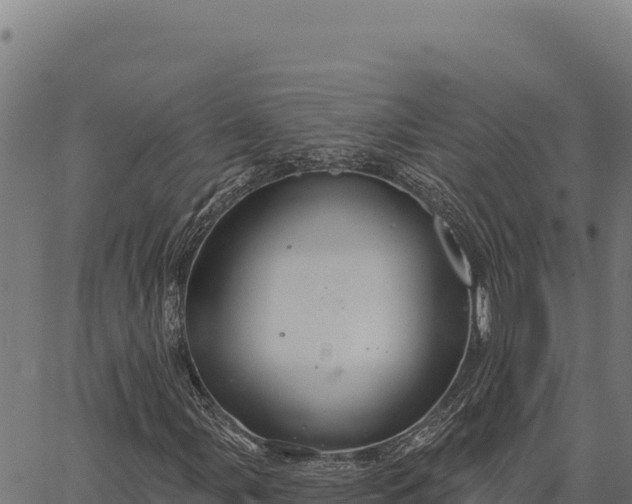 X0000066511107200603311722