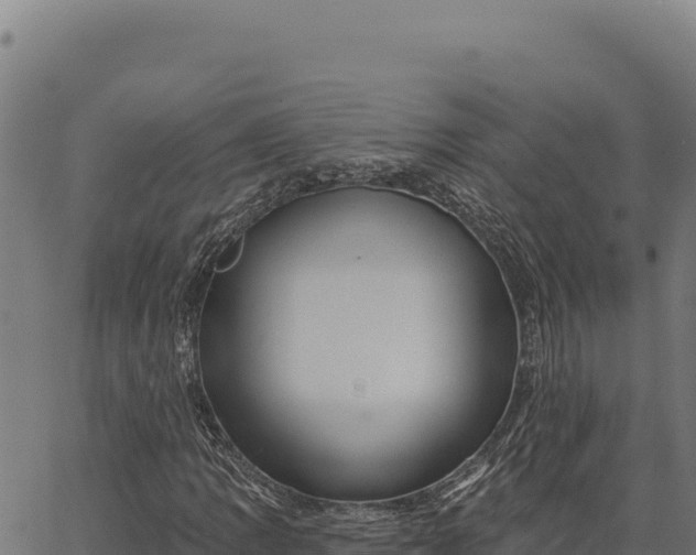 X0000066511109200603311722