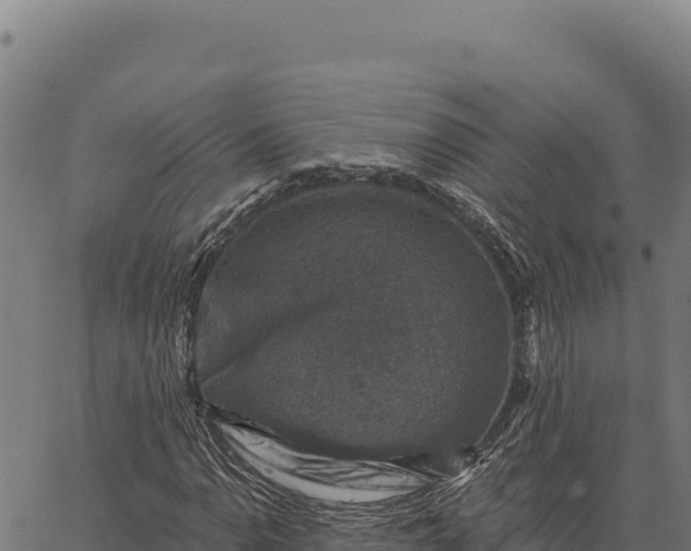 X0000066511110200603311722